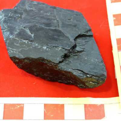 Coal