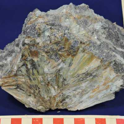 Actinolite