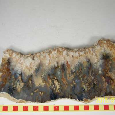 Plume Agate