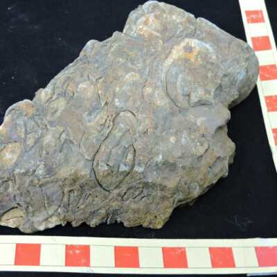 Limestone