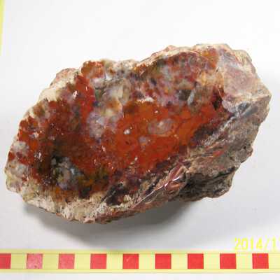Jasper