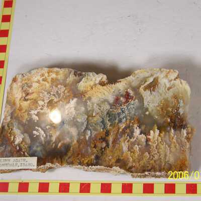 Plume Agate