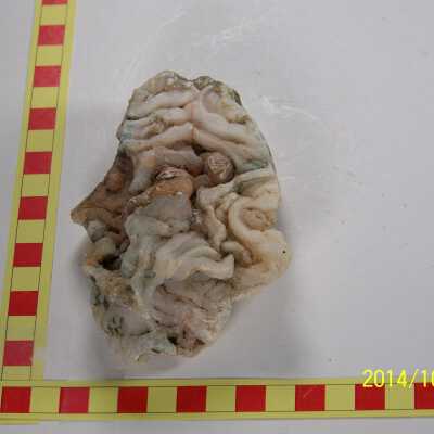 Plume Agate