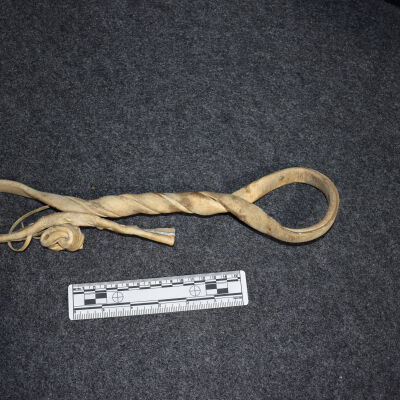 Rawhide Horse Hobbles