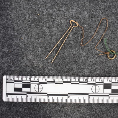 Gold Hairpin