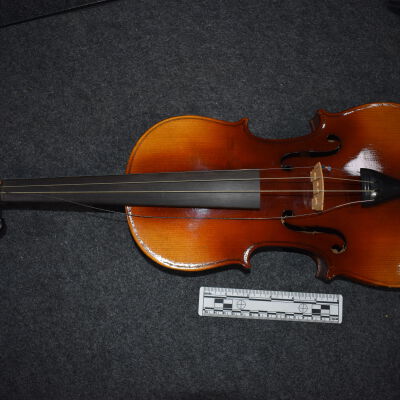 Violin