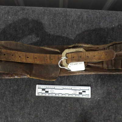 Cartridge Belt