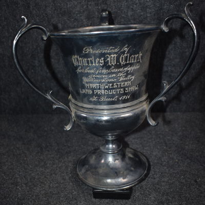 Engraved, Silver Trophy (798-c)