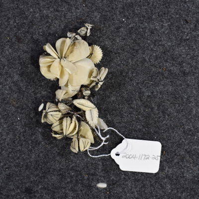 Ornament, Hair