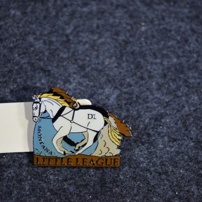 Pin