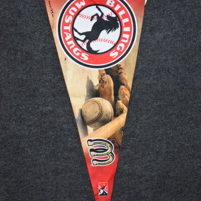 Pennant Flag