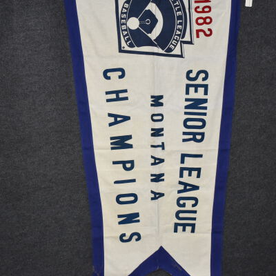 Senior League Montana Champions