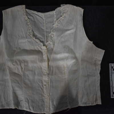 Lady's Blouse, 1888