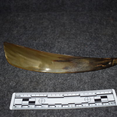 Shoehorn