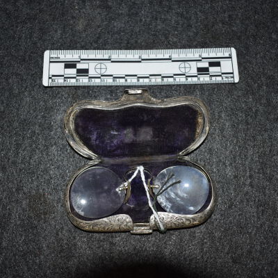 Eyeglasses and Case