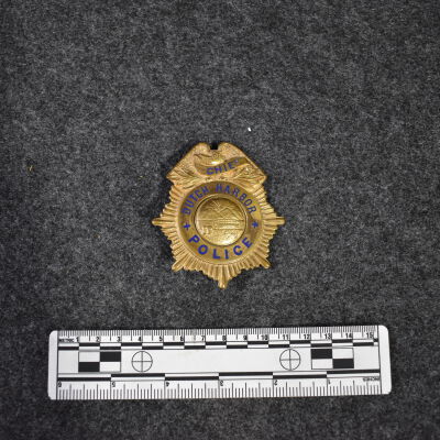 Police Chief Badge