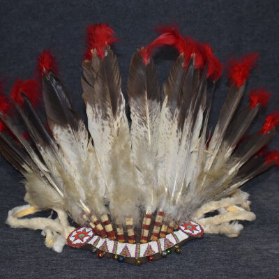 Eagle Feather Headdress