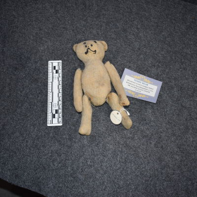 Teddy Bear, 1904 circa