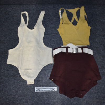 Bathing Suit
