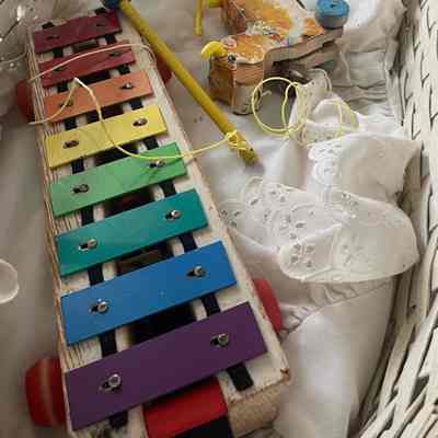 Toy xylophone and Toy Cow