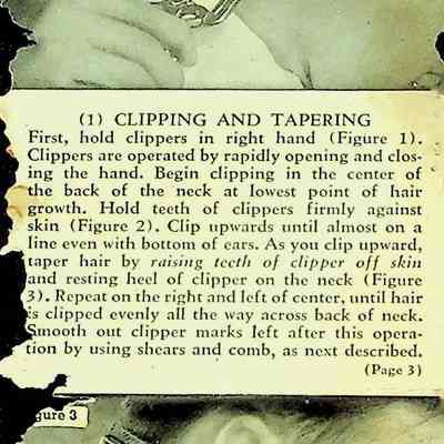 Hair Clipping Instructions