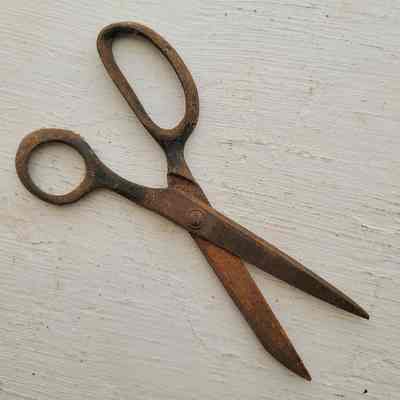 Scissors