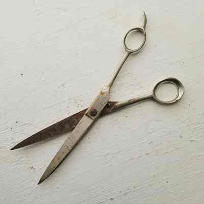 Scissors