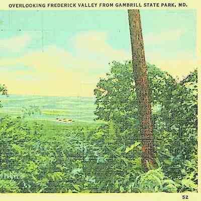 Postcard