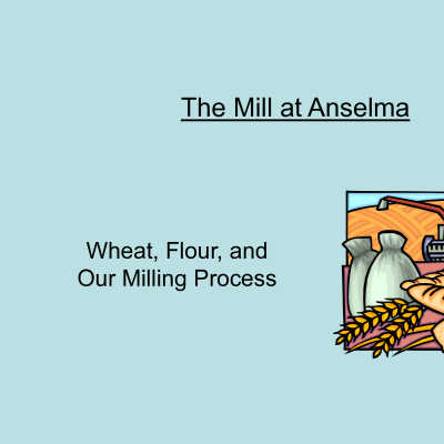 Wheat and Flour Presentation
