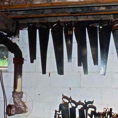 Saws and sewer line