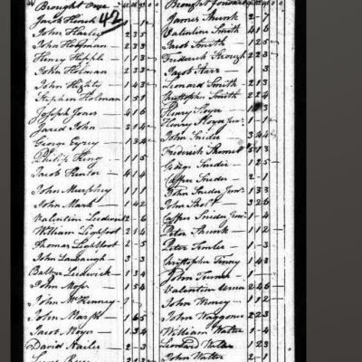 1790 US Federal Census, Pikeland PA Lewis Rees and Neighbors