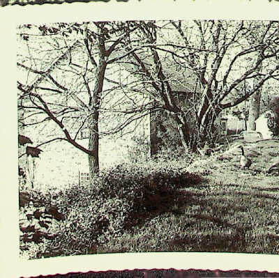 Mill - Southeast with Pond and Geese