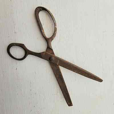 Scissors