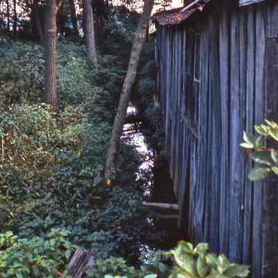 Shed Doorway