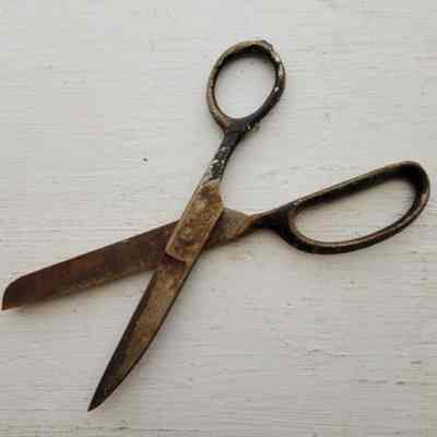 Scissors