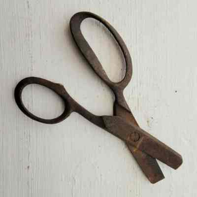 Scissors