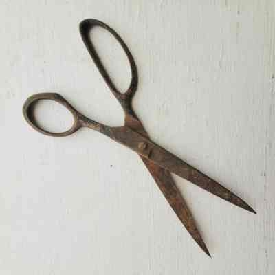 Scissors