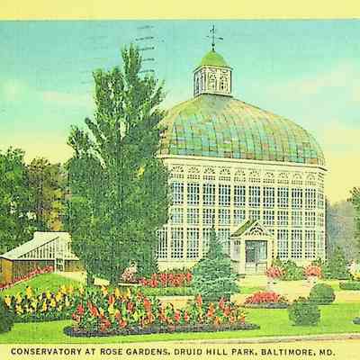 Postcard
