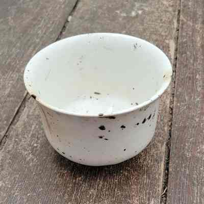 Cup