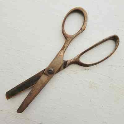 Scissors