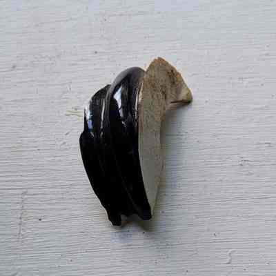 Insulator Piece