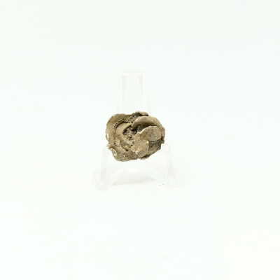 #16, unidentified bullet disfigured from impact