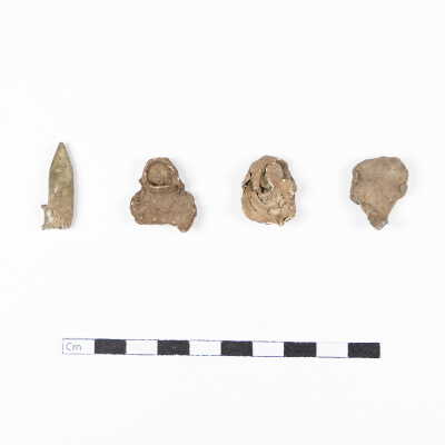 Whites Trace Branch: WTB1, Archaeological Site