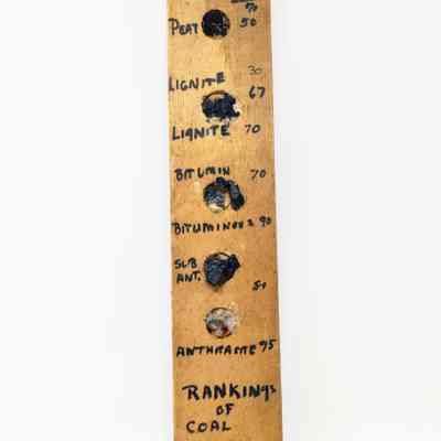 Rankings of Coal Specimen Display