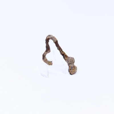 Whites Trace Branch: Archaeological Shovel Test Pit #9