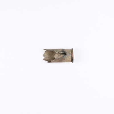 .45-70 Govt. Casing