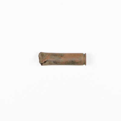 .256 cal Newton Casings