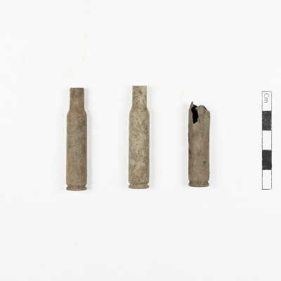 .25 Remington Casings