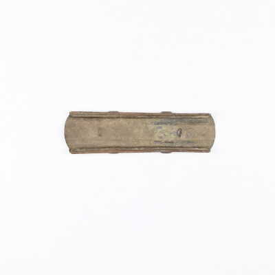 Stripper Clip
