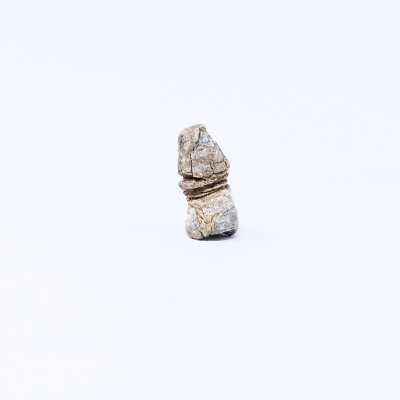 Unidentified Bullet